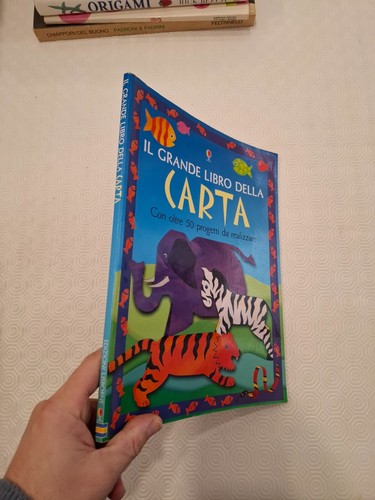 Grande libro della carta - il,